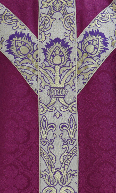 Casula semigotica GY076-P25