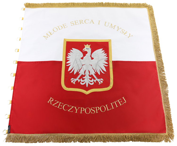 Beispiele für die Umsetzung Banner